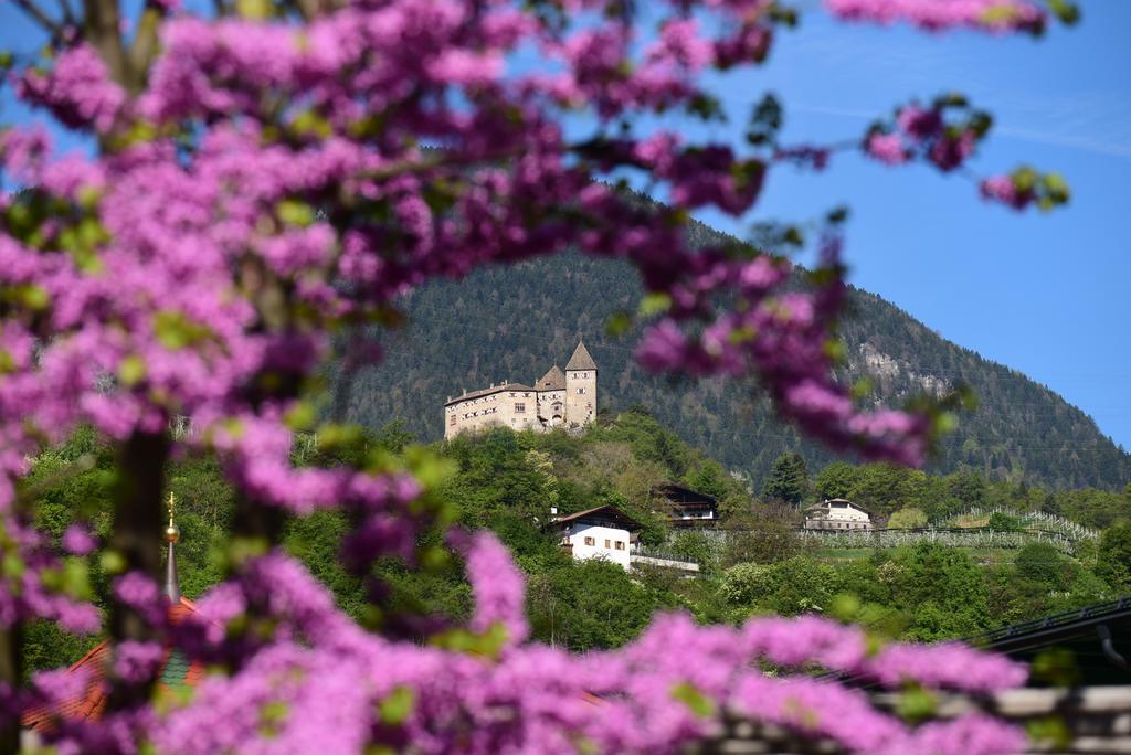 Pension Stamserhof Nals Exterior foto