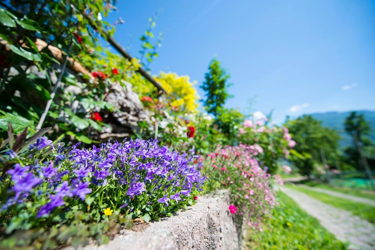 Pension Stamserhof Nals Exterior foto